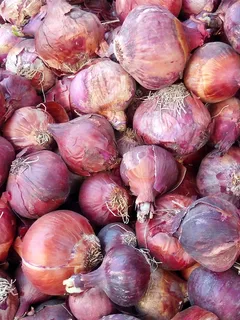 青葱、紫罗兰、球茎、食品、市场、蔬菜、水果、香水 青葱、紫罗兰、球茎、食品、市场、蔬菜、水果、香水