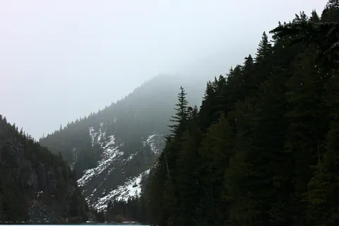 白天山上的森林 白天山上的森林
