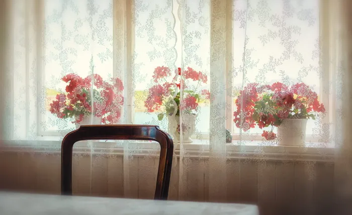 复古，怀旧，窗户，老式，老式，椅子，花，墙纸
