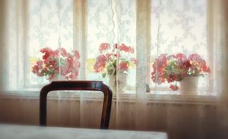 复古，怀旧，窗户，老式，老式，椅子，花，墙纸