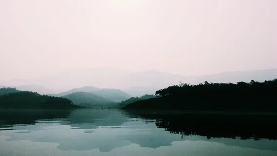 水体附近的绿色森林 水体附近的绿色森林