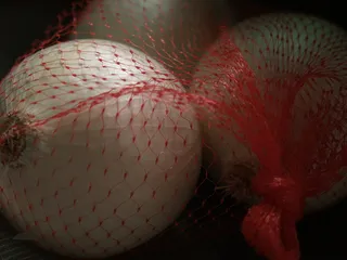 球，鸟，动物，运动，运动，球，团队运动，团队