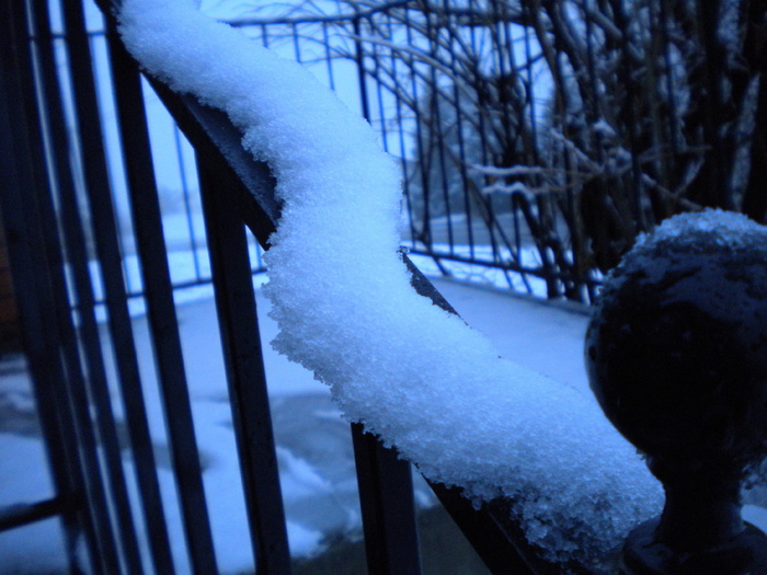 冬天，雪，栏杆，蓝色，寒冷的温度，树木，自然，天气