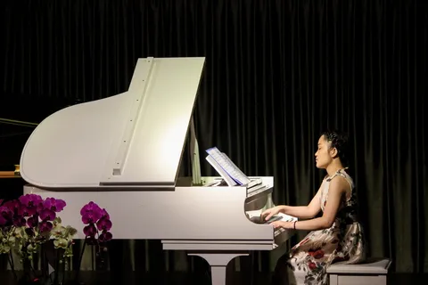 弹钢琴的女人 弹钢琴的女人