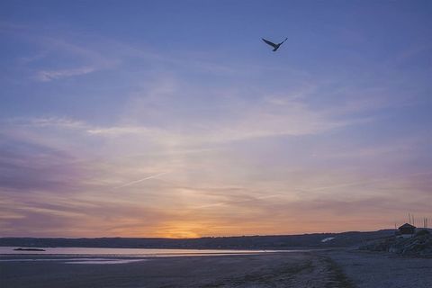 海滩，鸟，云，黎明，风景，自然，海洋，户外