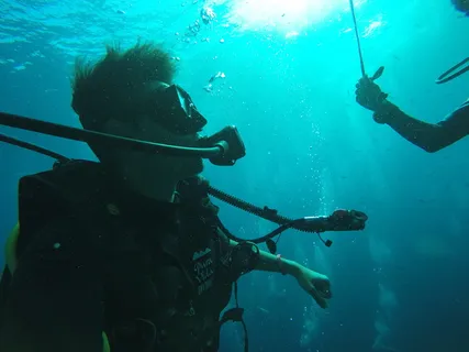 泰国，陶，跳水，海洋，水肺，水下，水上运动