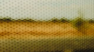 棕色和白色区域地毯