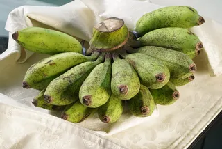 香蕉、绿色、香蕉梳、热带、食品和饮料、健康饮食、食品、健康