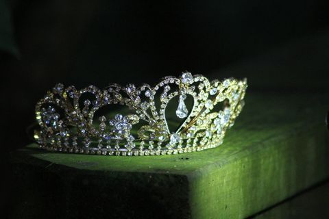 珠宝、婚礼、特写、无人、财富、黑色背景、动物主题、自然