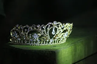 珠宝、婚礼、特写、无人、财富、黑色背景、动物主题、自然