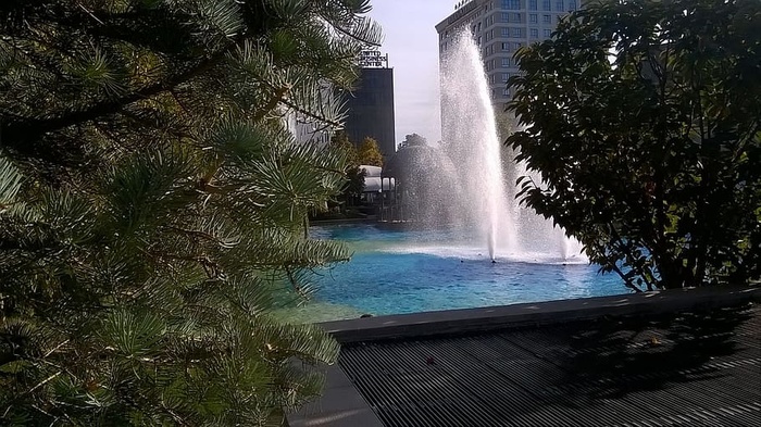 建筑，建筑，结构，蓝色，水，游泳，游泳池，喷泉