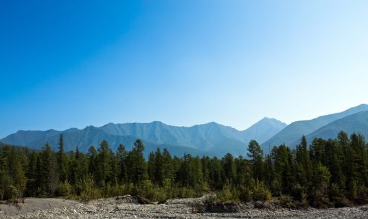 山，森林，中午，八月，碎石，树，风景-自然，天空