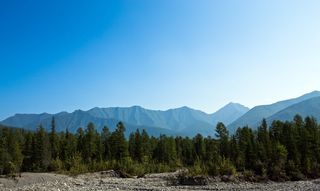 山，森林，中午，八月，碎石，树，风景-自然，天空