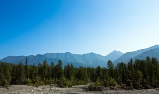山，森林，中午，八月，碎石，树，风景-自然，天空