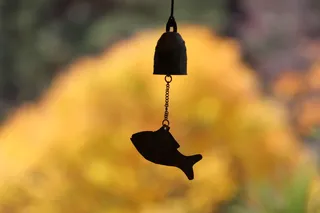 视网膜月公司，首尔，秋季，节，山，寺庙，景观，大韩民国