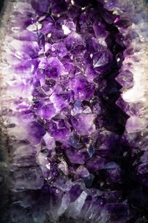 紫色，花朵，无人，特写，自然，自然之美，矿物，开花植物