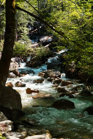 加拿大，惠斯勒，冰川水，泉水，西北太平洋，郁郁葱葱，小溪