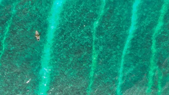 白昼水面白船俯视图