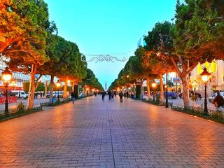 路径，人行道，人，人，人行道，人行道，行人，鹅卵石