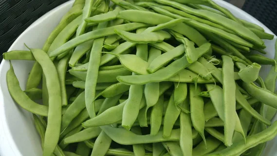 豆类、食品、豆类、蔬菜、豆类、绿色食品、豌豆、健康食品 豆类、食品、豆类、蔬菜、豆类、绿色食品、豌豆、健康食品
