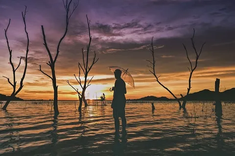 光,黎明,风景,自然,孤独,背光,海滩,云朵 光,黎明,风景,自然,孤独,背光,海滩,云朵