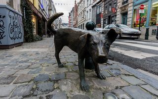 比利时，bruxelles，zinneke pis，布鲁塞尔，street，dog，zenneke pis，欧洲