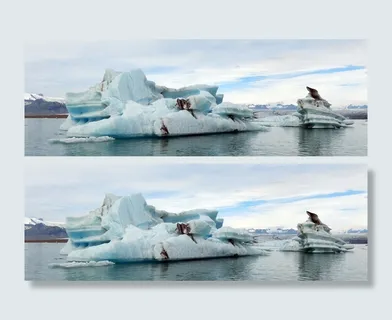 白天的冰山,jökulsárlón冰川泻湖,冰川湖,水,冰,冰山,驱动冰山,火山灰 白天的冰山,jökulsárlón冰川泻湖,冰川湖,水,冰,冰山,驱动冰山,火山灰