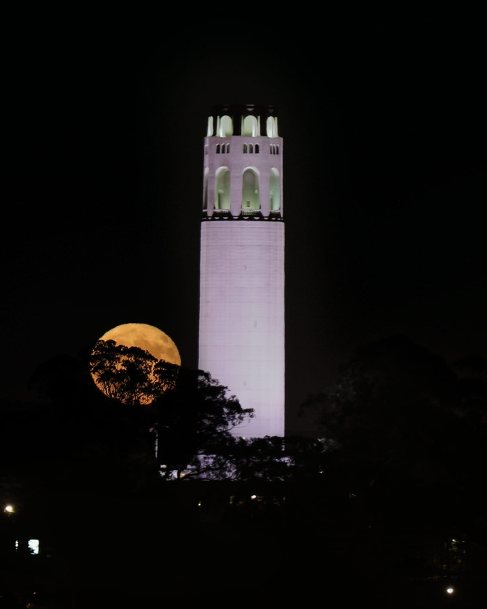 旧金山, 美国, 满月, 月亮升起, 月亮, Coit 塔, 架构, 夜