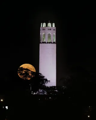 旧金山, 美国, 满月, 月亮升起, 月亮, Coit 塔, 架构, 夜