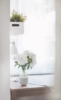 透明玻璃花瓶中的白牡丹,靠近白色陶瓷杯特写摄影 透明玻璃花瓶中的白牡丹,靠近白色陶瓷杯特写摄影