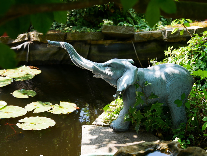 英国，radlett，bhaktivedanta庄园-hare krishna神庙，池塘，冥想，灵性，大象，百合池