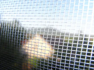 网格、格栅、围栏、格栅、房屋、逮捕、房屋、封闭