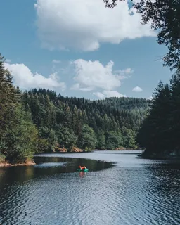 在树木环绕的水体上骑行游泳圈的人