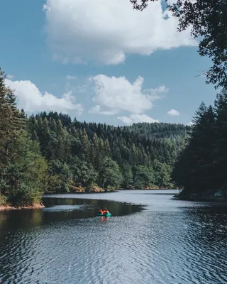 在树木环绕的水体上骑行游泳圈的人