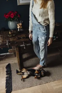 抚摸那只可爱的小狗