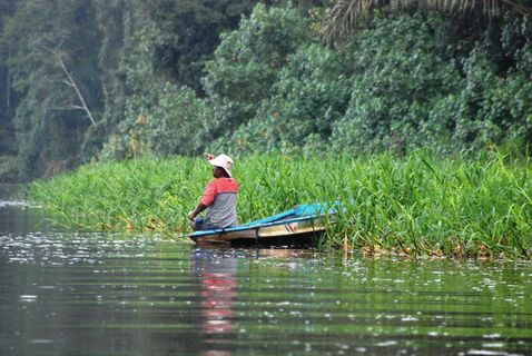 菲舍尔，鱼，靴子，水，植物，真人，一个人，湖