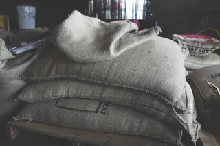 在美国，坦帕，buddy brew咖啡，咖啡豆，咖啡袋，粗麻布，咖啡，烘焙机