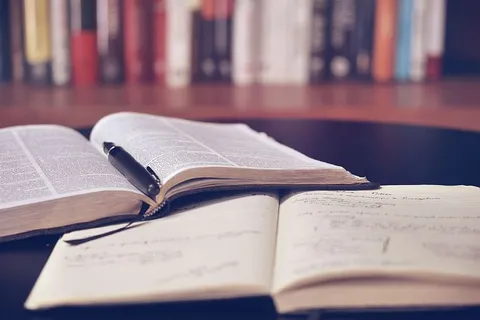 学校图书馆的书 学校图书馆的书