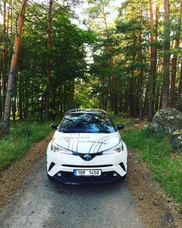 česko,nárameč,白色汽车,白色,环保,绿色,suv,森林 česko,nárameč,白色汽车,白色,环保,绿色,suv,森林