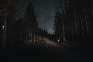 树，路，植物，夜晚，方向，风景——自然，前进的道路，自然之美