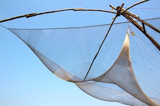 棕色，木制，框架，钓鱼，网，网络，鱼，菲舍尔