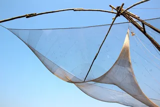 棕色，木制，框架，钓鱼，网，网络，鱼，菲舍尔