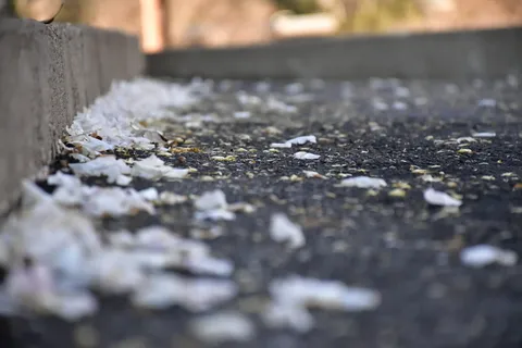 选择性聚焦,白天,无人,道路,自然,户外,街道,交通 选择性聚焦,白天,无人,道路,自然,户外,街道,交通