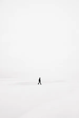 剪影，人，行走，田野，雪，冬天，白色，寒冷