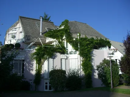 缠绕、常春藤、攀缘植物、住宅、立面、草皮、建筑结构、建筑