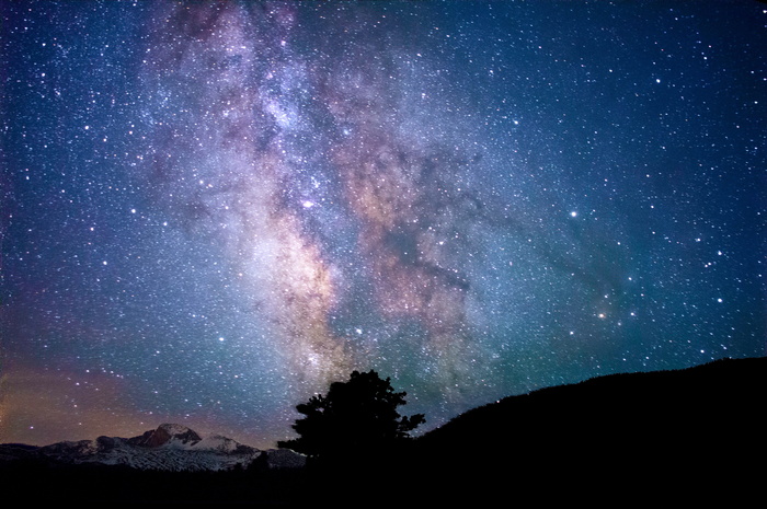 自然，天空，夜晚，星星，星座，光，树，家伙