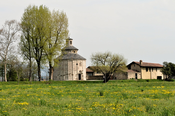 修道院，建筑，历史学家，罗马式风格，凯尔特人，纪念碑，大教堂，植物