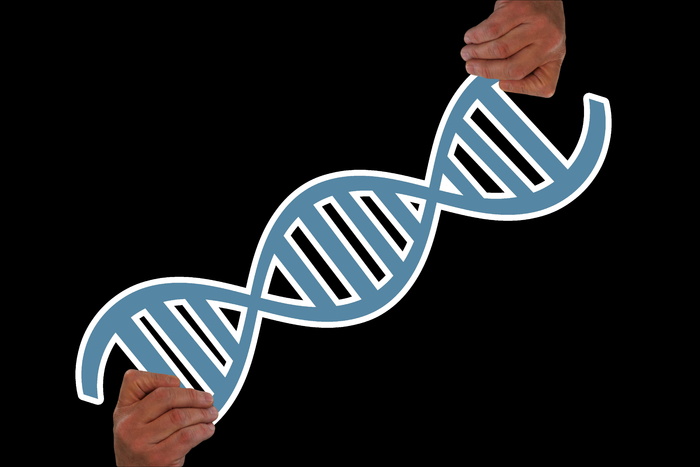 hand，keep，脱氧核糖核酸，图形，dna，heritage，gen，遗传信息