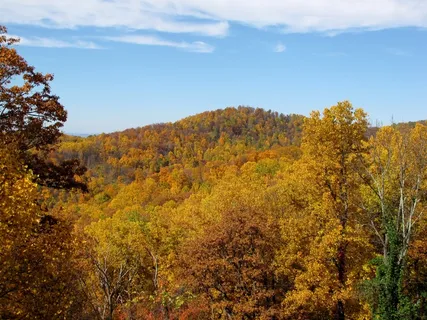 山,秋天,秋天,自然,景观,风景,树木,秋天的树木 山,秋天,秋天,自然,景观,风景,树木,秋天的树木