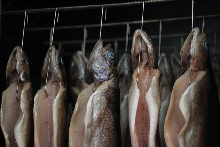 鳟鱼，烟熏，新鲜，特产，悬挂，食品，新鲜，动物